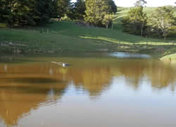 river water filter