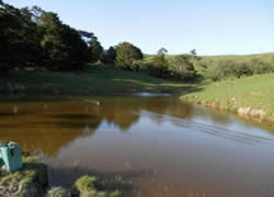 stream water filter