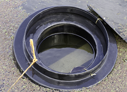 water for cattle