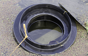 Prevent Algae